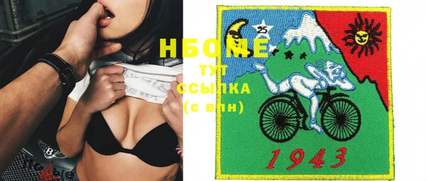сатива Осташков