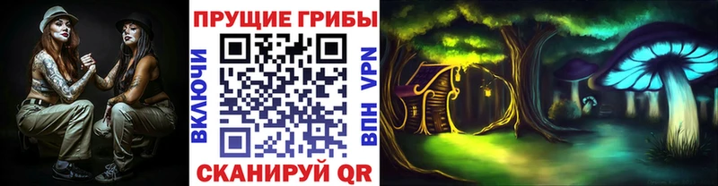 Псилоцибиновые грибы Psilocybe  KRAKEN ссылки  Егорьевск 